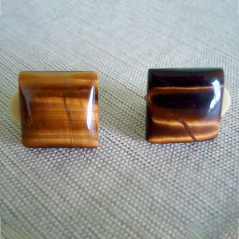 CLIPS Tiger Eye