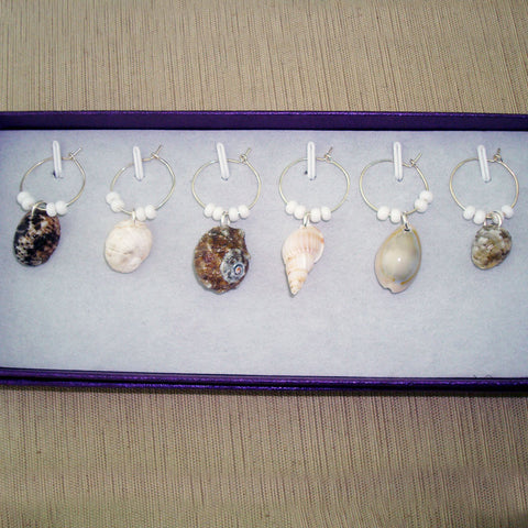 Shells, set of 6